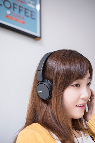 Sony MDR-Zx110Apb - Auriculares para Smartphone (Diadema, Mando de Control, Micrófono, 1000 MW, Android y iPhone), Negro, 20 X 15 X 3,5 cm