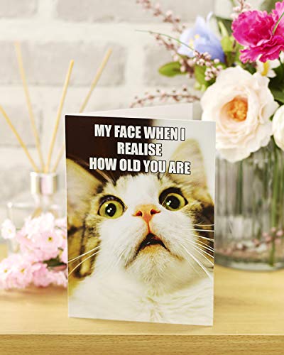 Tarjeta de cumpleaños divertida – Tarjeta de cumpleaños para él – diseño de gato meme