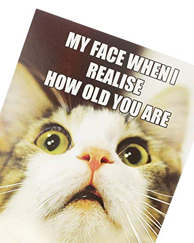 Tarjeta de cumpleaños divertida – Tarjeta de cumpleaños para él – diseño de gato meme